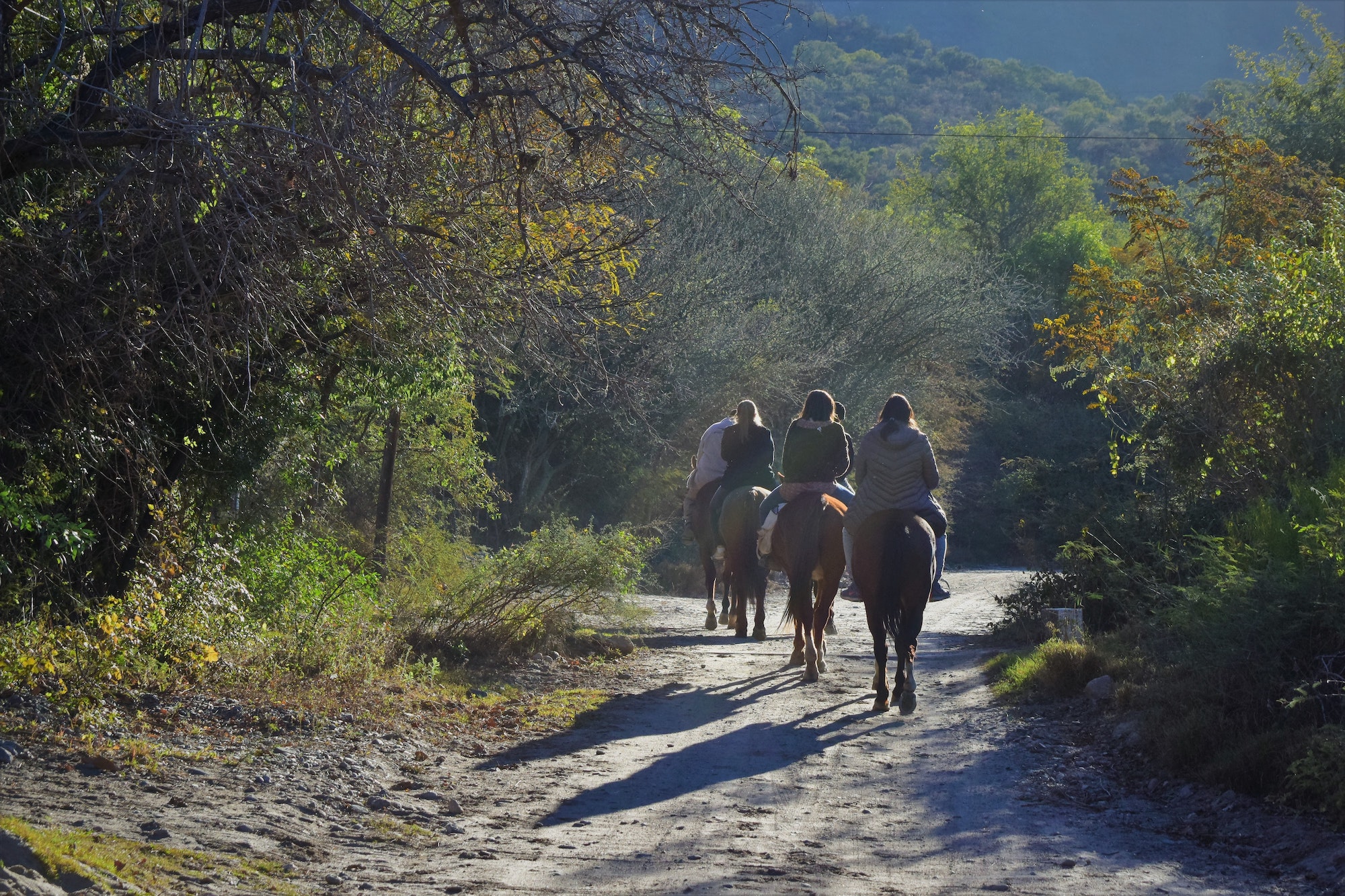 What is functionality all about working horse central