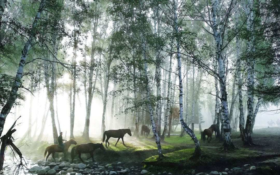 Chappell Hill Spooktacular